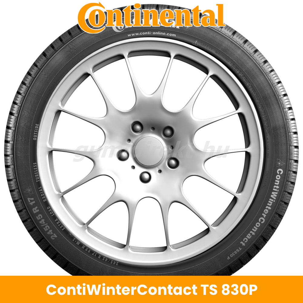 Continental WinterContact TS 830P