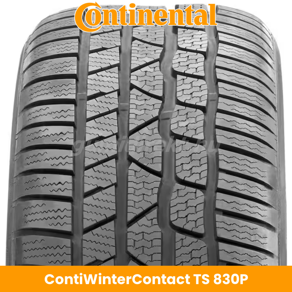 Continental WinterContact TS 830P
